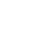 icon scale 06